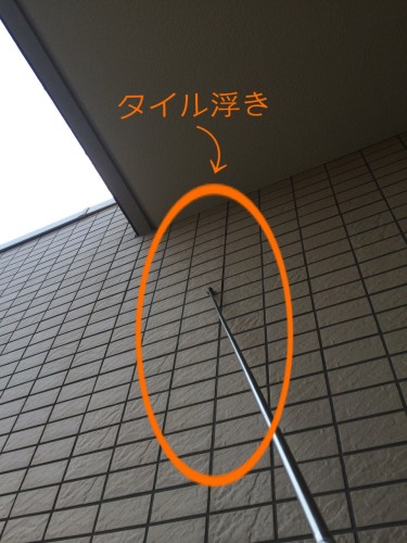 タイル調査状況