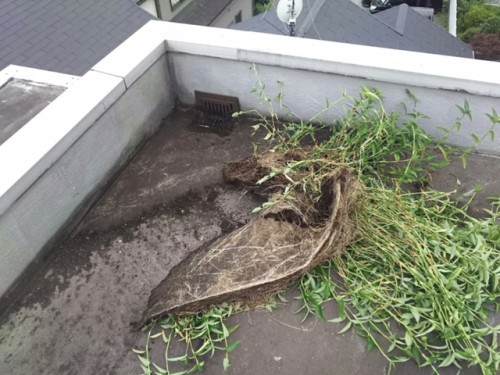 !cid_8C9A2543-D0A7-419A-BF1F-6D6DA046B842