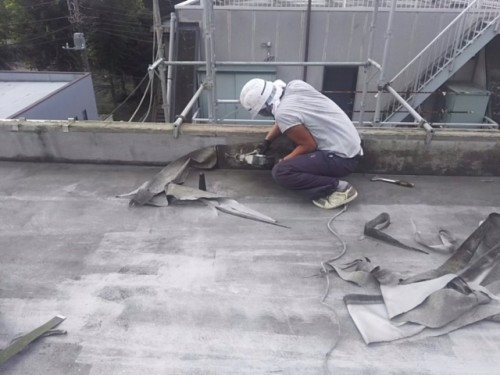 !cid_A87DBF8F-0006-4A78-98B9-7DFC62786162