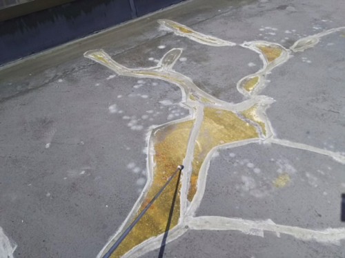 !cid_D8D0237A-2014-43C7-9003-3F389B9DC553