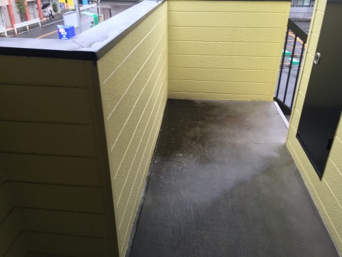 %e3%83%99%e3%83%ab%e3%83%94%e3%82%a2%e7%ab%b9%e3%83%8e%e5%a1%9a%e8%b6%b3%e7%ab%8b%e5%8c%ba%e4%bc%8a%e8%88%885-5-23_2904