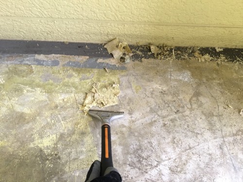 %e3%83%99%e3%83%ab%e3%83%94%e3%82%a2%e7%ab%b9%e3%83%8e%e5%a1%9a%e8%b6%b3%e7%ab%8b%e5%8c%ba%e4%bc%8a%e8%88%885-5-23_4614