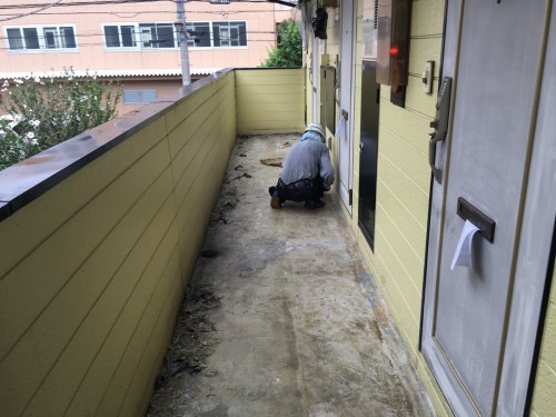 %e3%83%99%e3%83%ab%e3%83%94%e3%82%a2%e7%ab%b9%e3%83%8e%e5%a1%9a%e8%b6%b3%e7%ab%8b%e5%8c%ba%e4%bc%8a%e8%88%885-5-23_6738