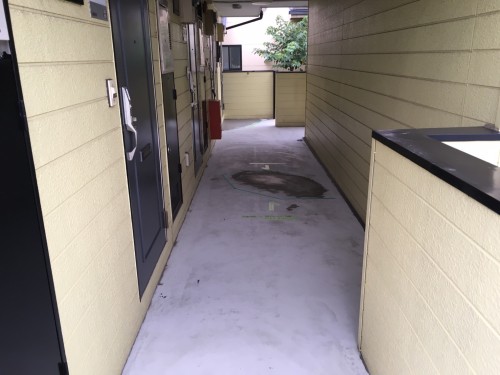 %e3%83%99%e3%83%ab%e3%83%94%e3%82%a2%e7%ab%b9%e3%83%8e%e5%a1%9a%e8%b6%b3%e7%ab%8b%e5%8c%ba%e4%bc%8a%e8%88%885-5-23_7762