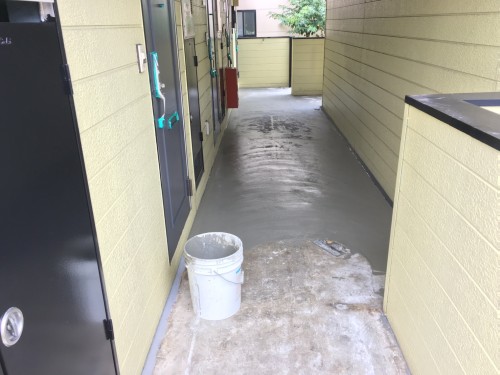 %e3%83%99%e3%83%ab%e3%83%94%e3%82%a2%e7%ab%b9%e3%83%8e%e5%a1%9a%e8%b6%b3%e7%ab%8b%e5%8c%ba%e4%bc%8a%e8%88%885-5-23_9427