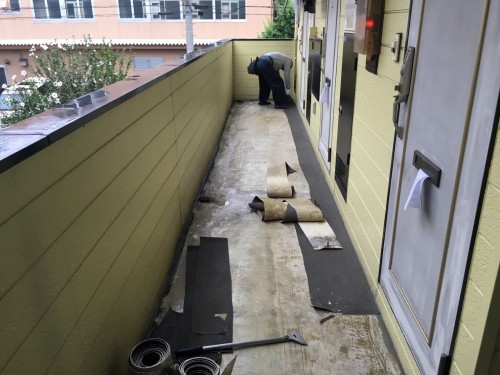 %e3%83%99%e3%83%ab%e3%83%94%e3%82%a2%e7%ab%b9%e3%83%8e%e5%a1%9a%e8%b6%b3%e7%ab%8b%e5%8c%ba%e4%bc%8a%e8%88%885-5-23_9533