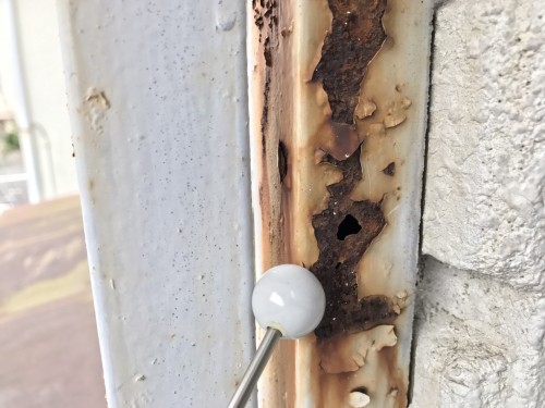 %e3%83%8f%e3%82%a4%e3%83%84%e3%82%b5%e3%83%b3%e3%83%ad%e3%83%bc%e3%82%ba-%e7%84%a1%e6%96%99%e7%8f%be%e5%a0%b4%e8%aa%bf%e6%9f%bb_6810