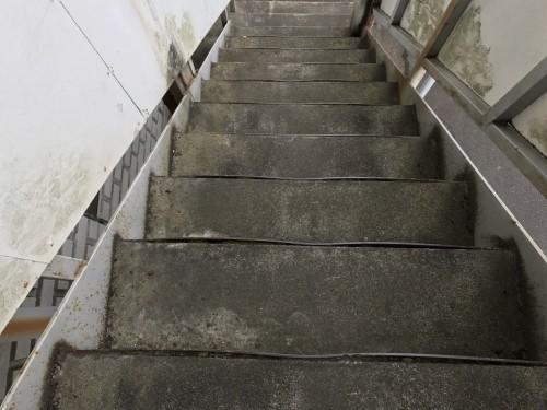 %e3%83%8f%e3%82%a4%e3%83%84%e3%82%b5%e3%83%b3%e3%83%ad%e3%83%bc%e3%82%ba-%e7%84%a1%e6%96%99%e7%8f%be%e5%a0%b4%e8%aa%bf%e6%9f%bb_9651