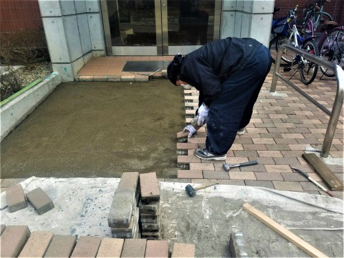 ﾒｿﾞﾝﾄﾞｼﾉ(部分補修)_170228_0005