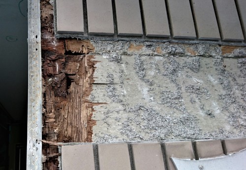 ｱﾒﾆﾃｨﾊｲﾂⅠ烏山_170303_0062