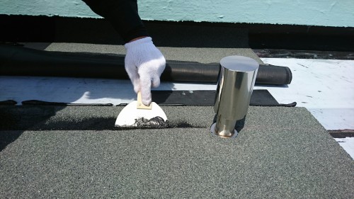 ラブリーライフ 川崎_170425_0089