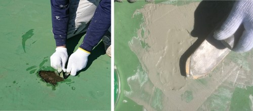 河内様邸(ペンタくん)_1047