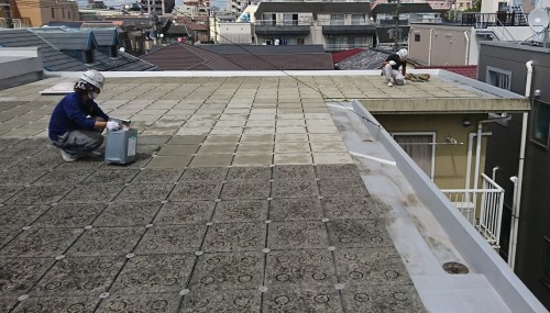 みどりのいえ(池袋3-67-6)_170614_0031