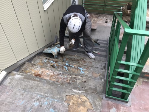 みどりのいえ(池袋3-67-6)_170614_0040