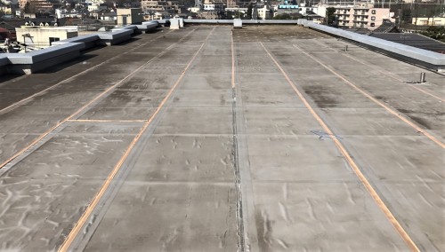 ラブリーライフ 川崎_170610_0009