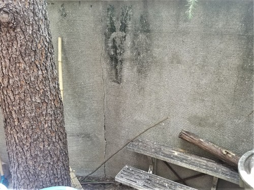 田村様邸_170817_0022