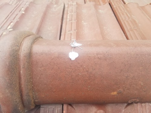 田村様邸_170921_0143