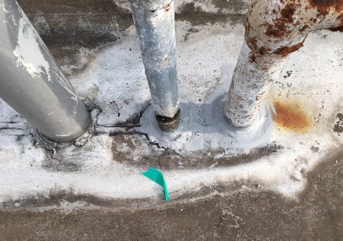 大宮愛仕幼稚園_171019_0062