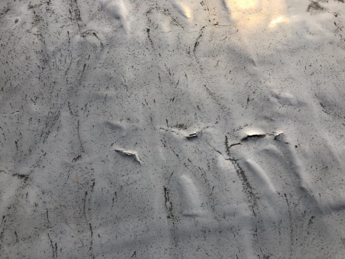 塩野様邸(文京区小日向1-18-9)_171111_0006