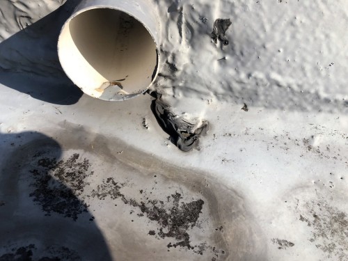 塩野様邸(文京区小日向1-18-9)_171111_0009