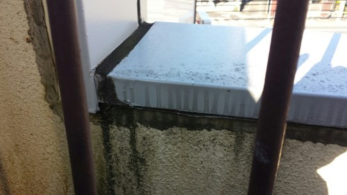 苔の発生(株)鈴木工業