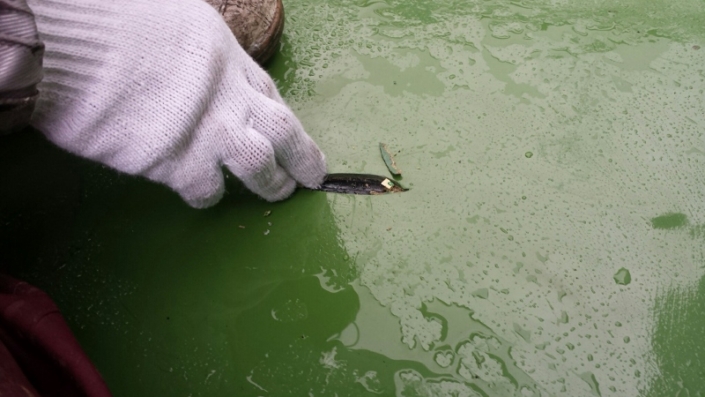 防水シート劣化による屋上の雨漏り修理(通気緩衝工法)|茨城県桜川市のT様邸にて防水工事