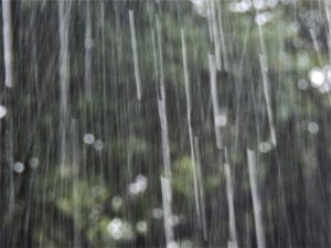 大雨